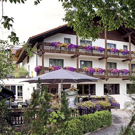 Das Reiners Grafenau  Exterior foto